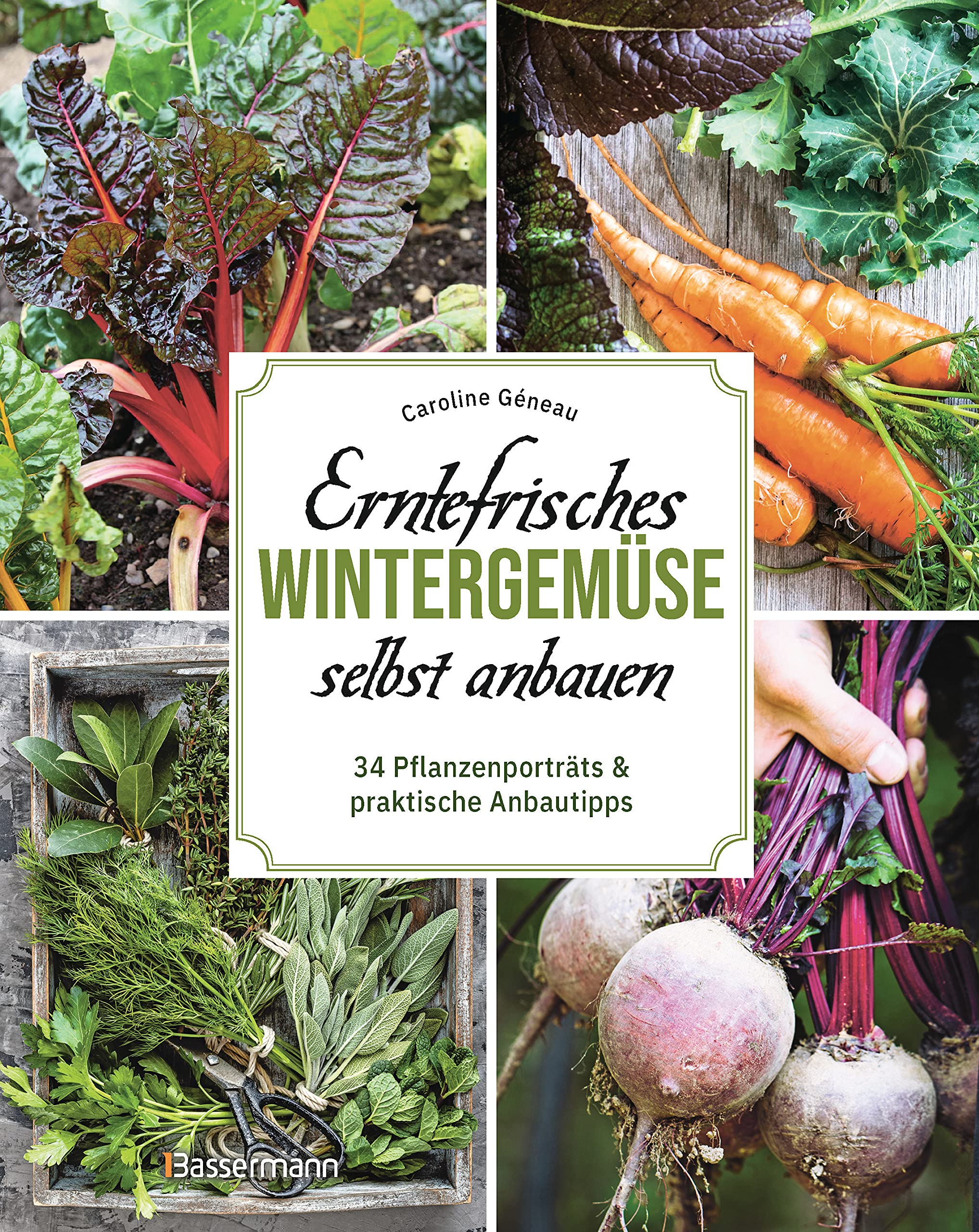 Erntefrisches Wintergemüse selbst anbauen. 34 Pflanzenporträts & praktische Anbautipps: Optimale Selbstversorgung auch im Winter Garden & Plants