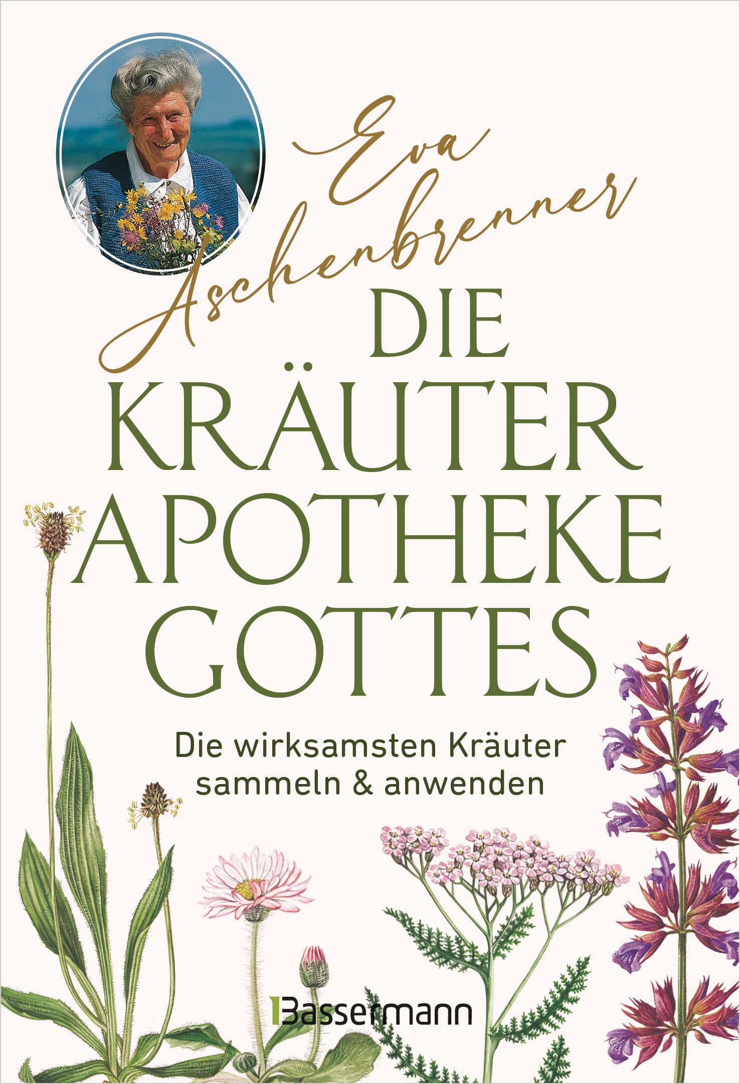 Die Kräuterapotheke Gottes Medicine