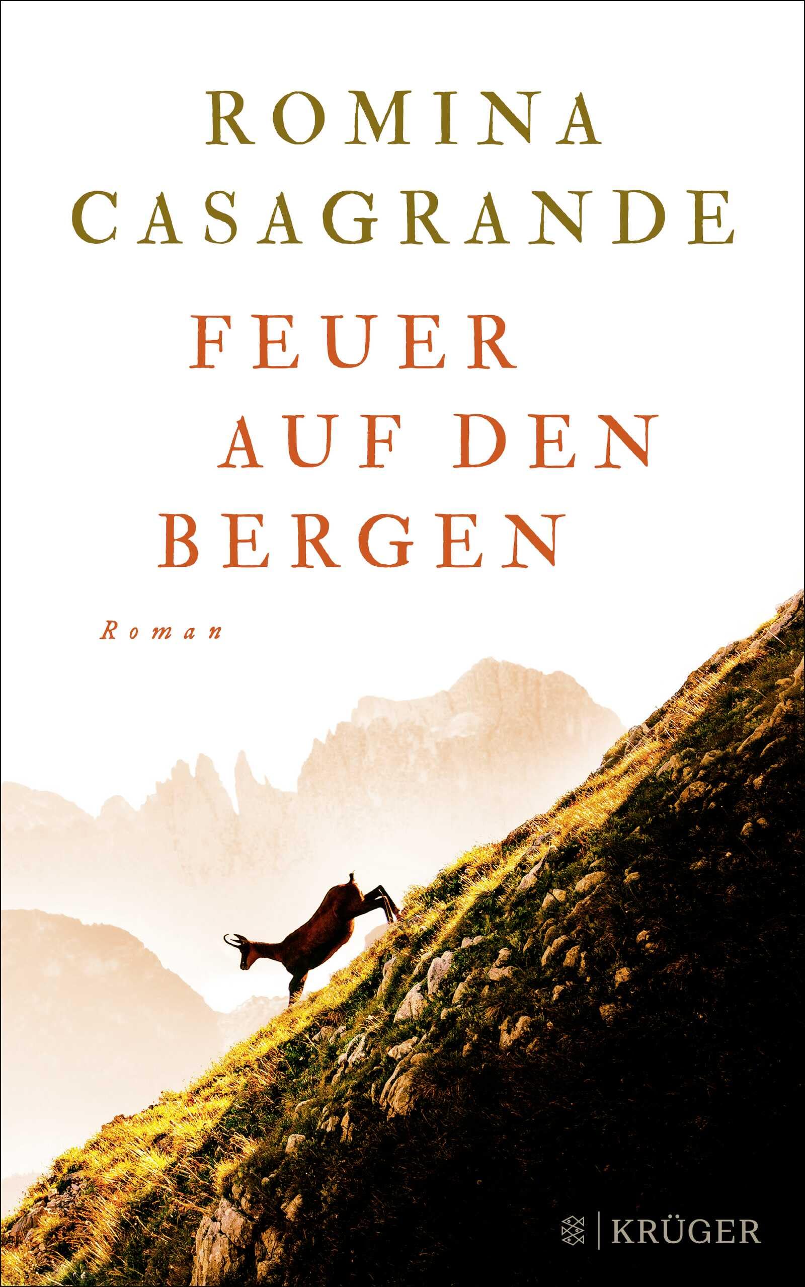 Feuer auf den Bergen Contemporary literature