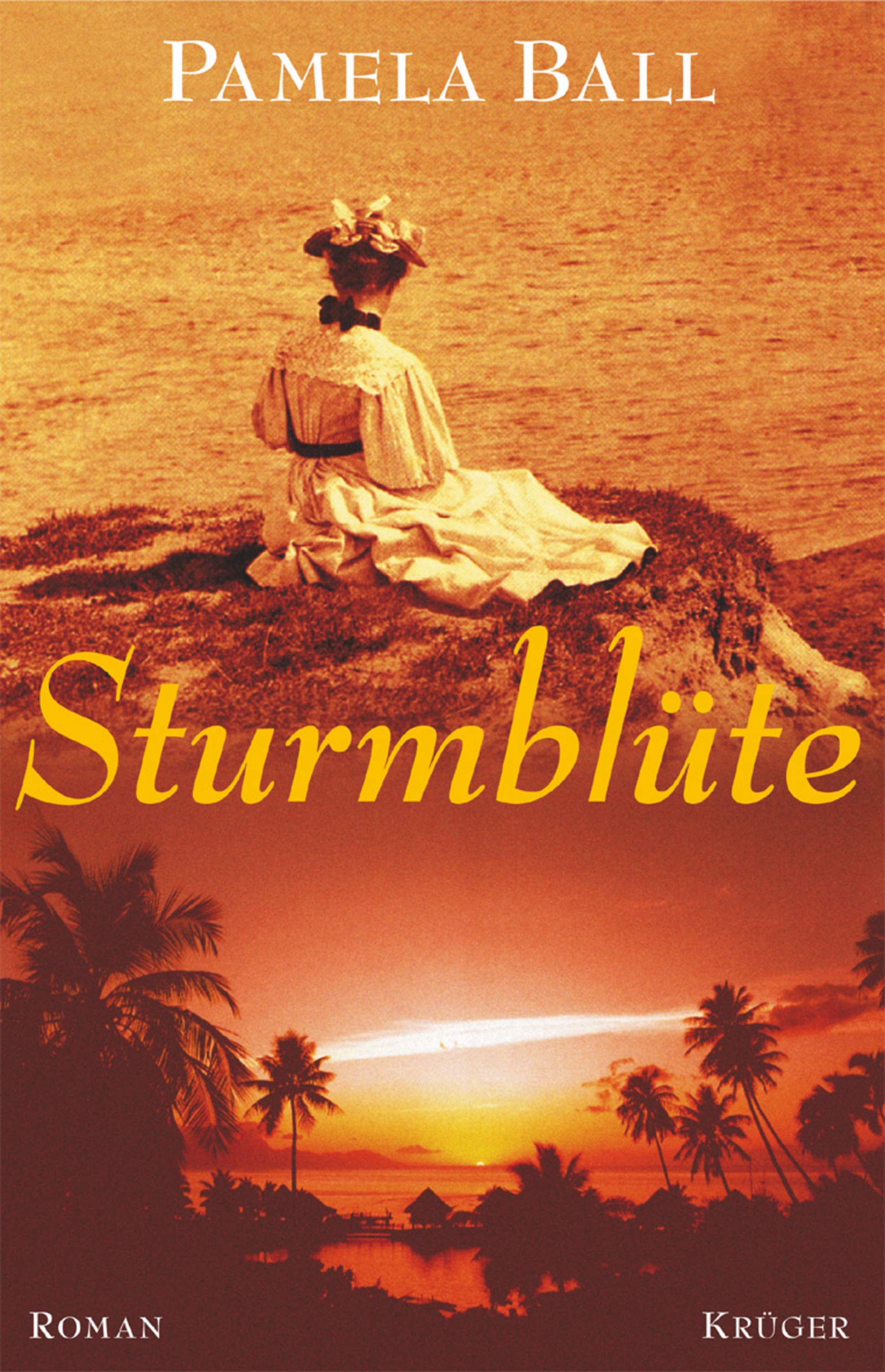 Sturmblüte: Roman Contemporary literature