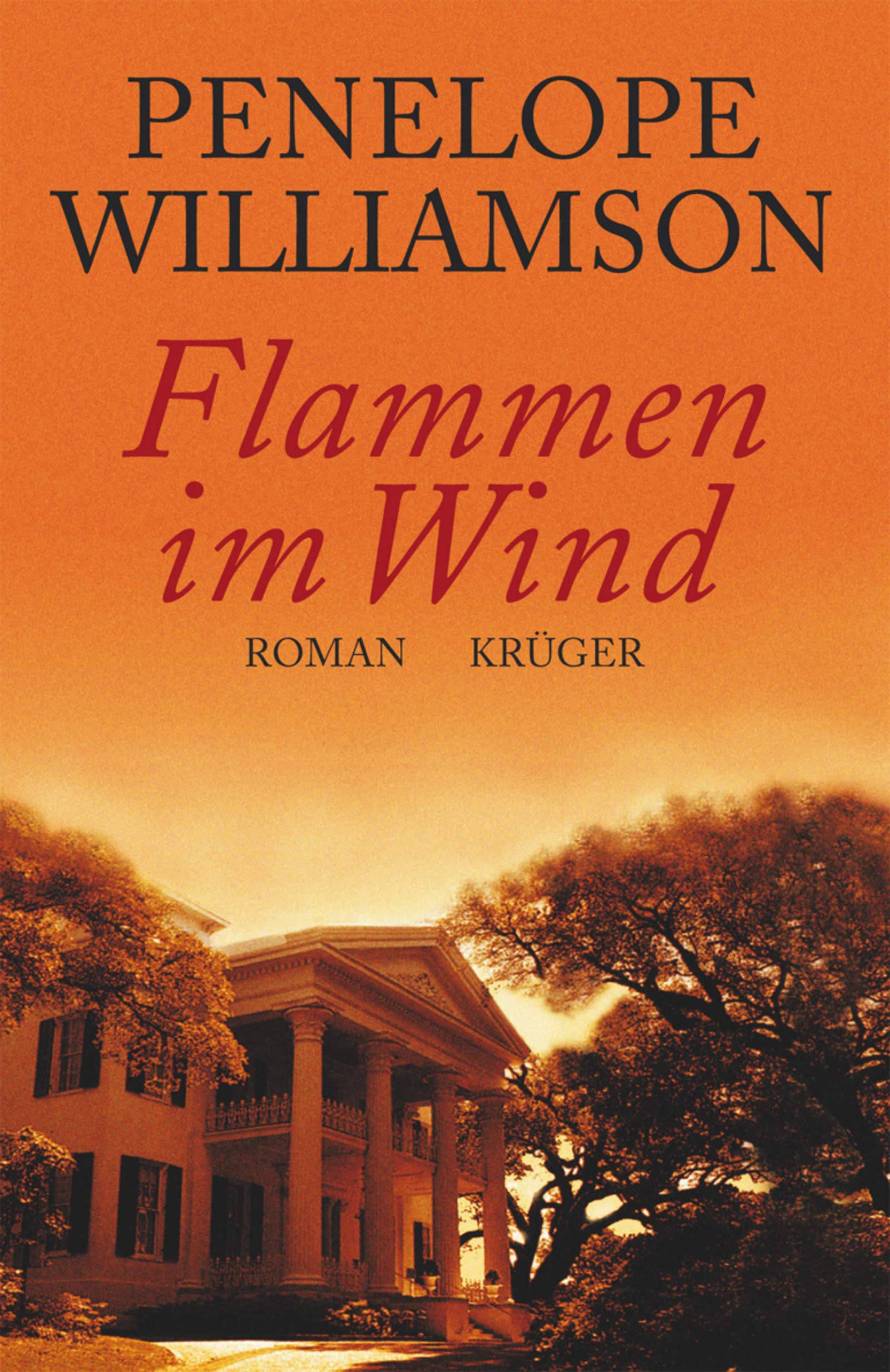 Flammen im Wind: Roman Contemporary literature