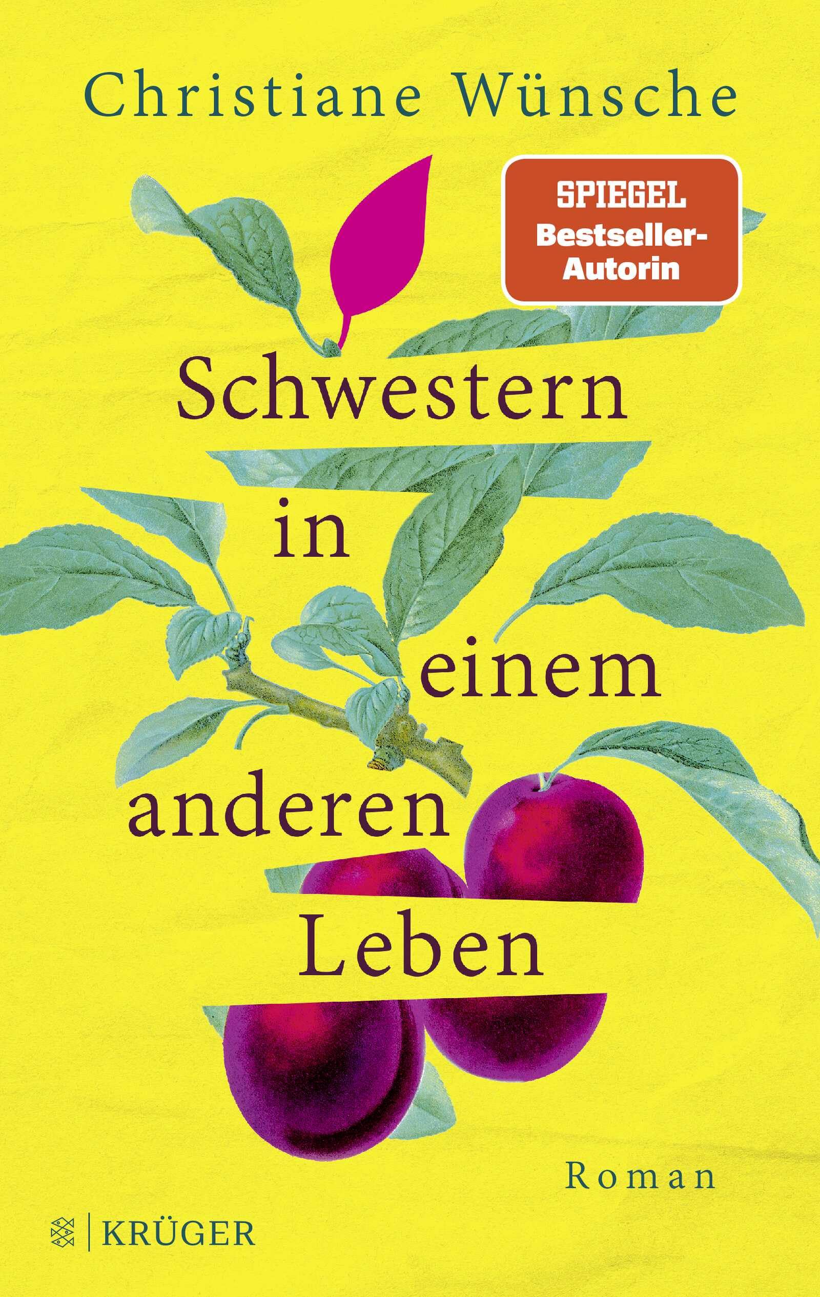 Schwestern in einem anderen Leben Contemporary literature