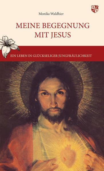 Meine Begegnung mit Jesus book