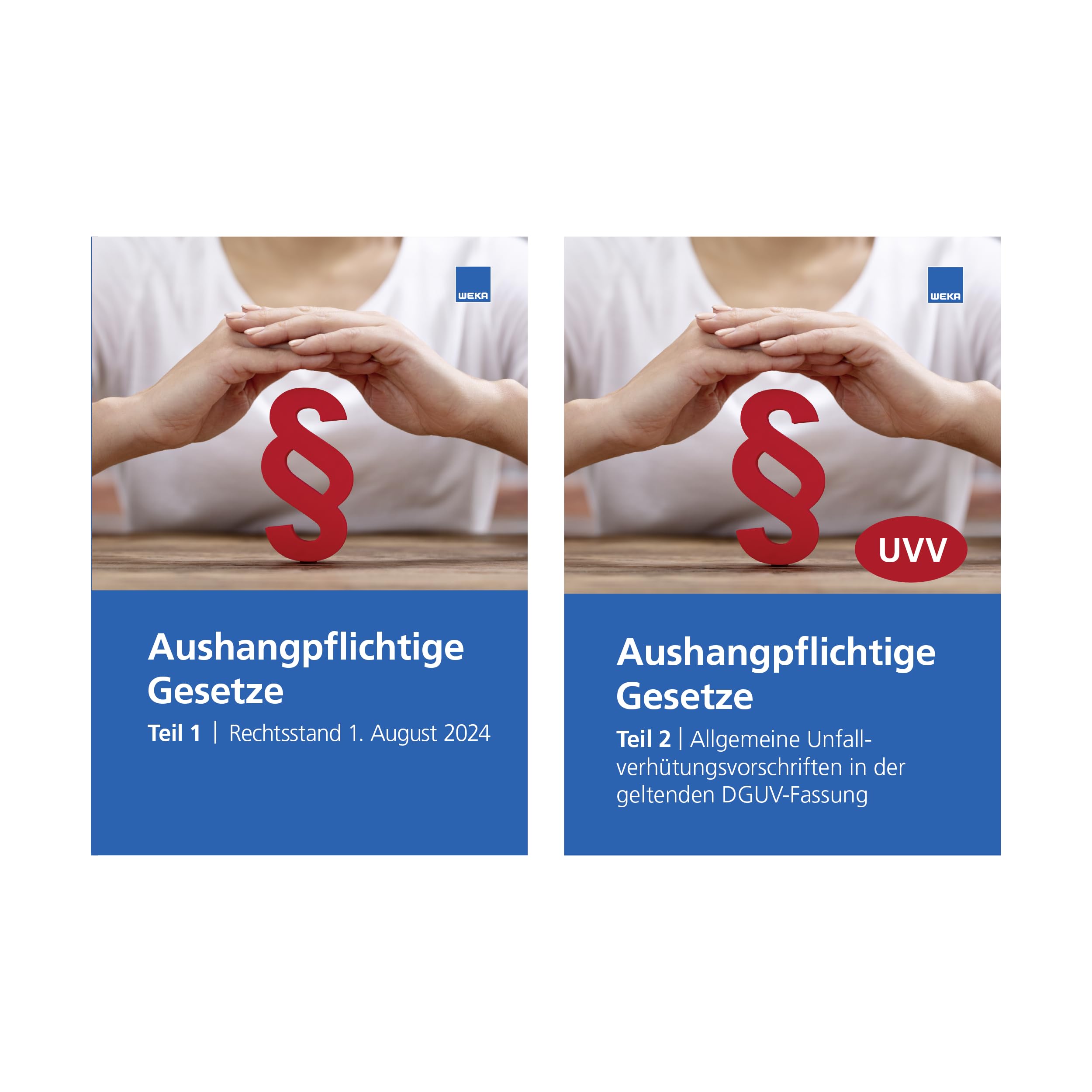 Aushangpflichtige Gesetze: Teil 1 + Teil 2 Law