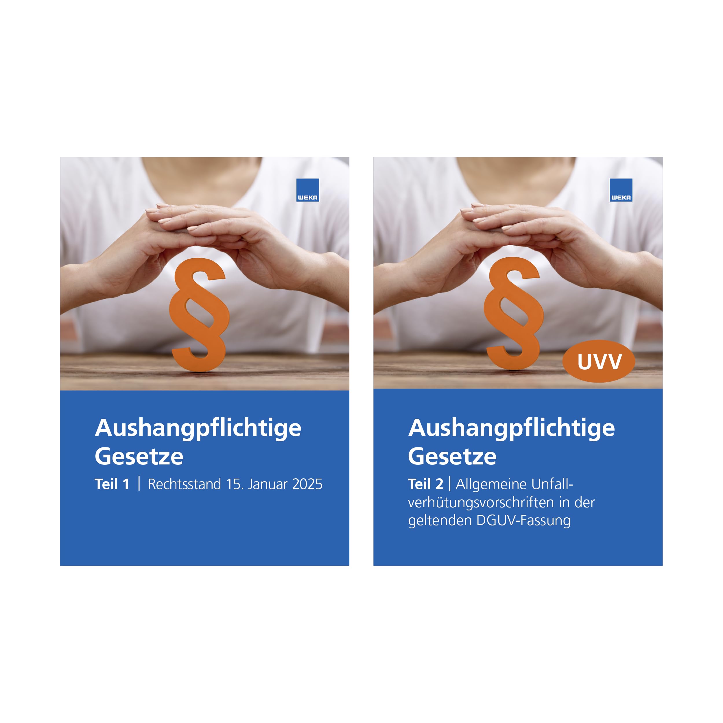Aushangpflichtige Gesetze Law
