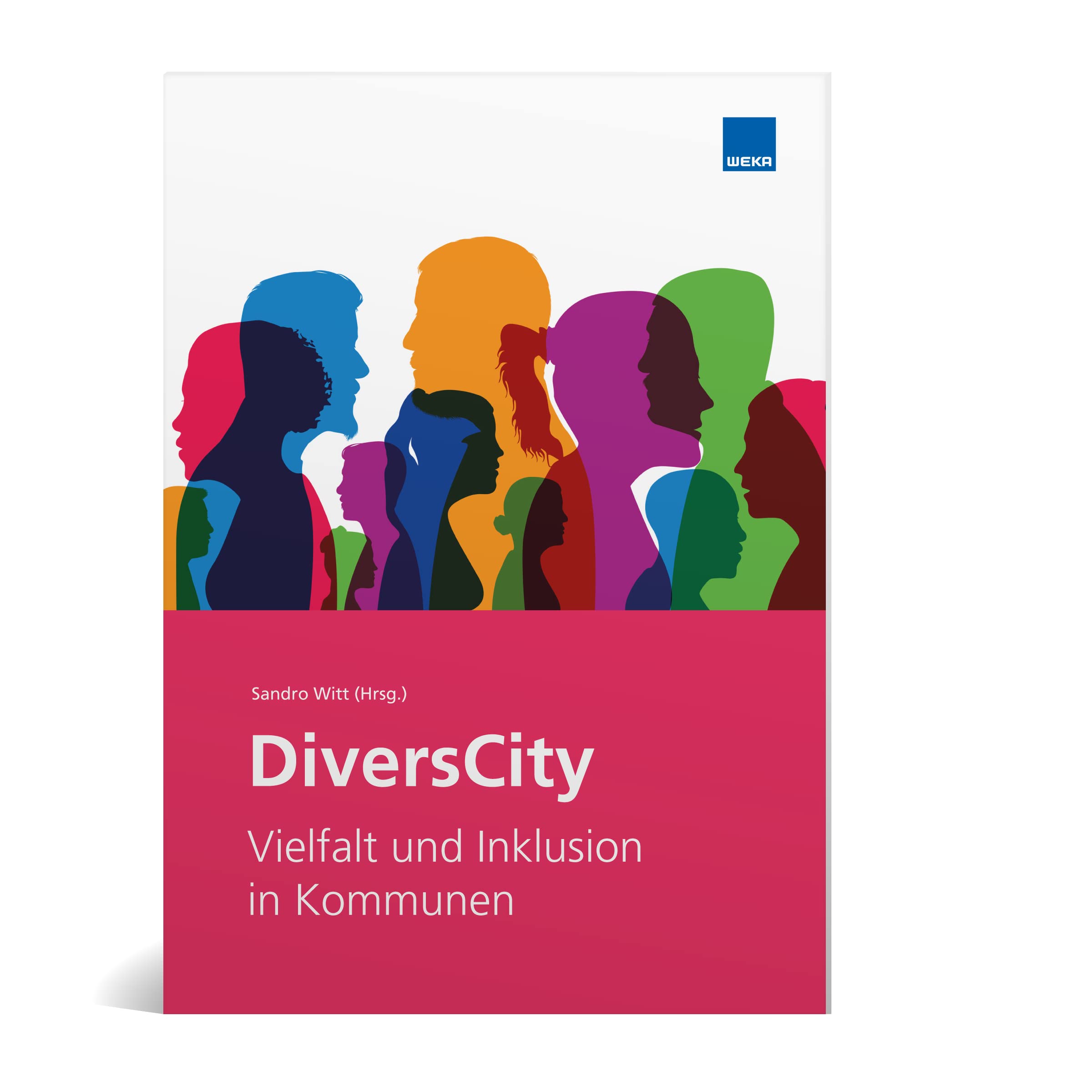 DiversCity: Vielfalt und Inklusion in Kommunen Law