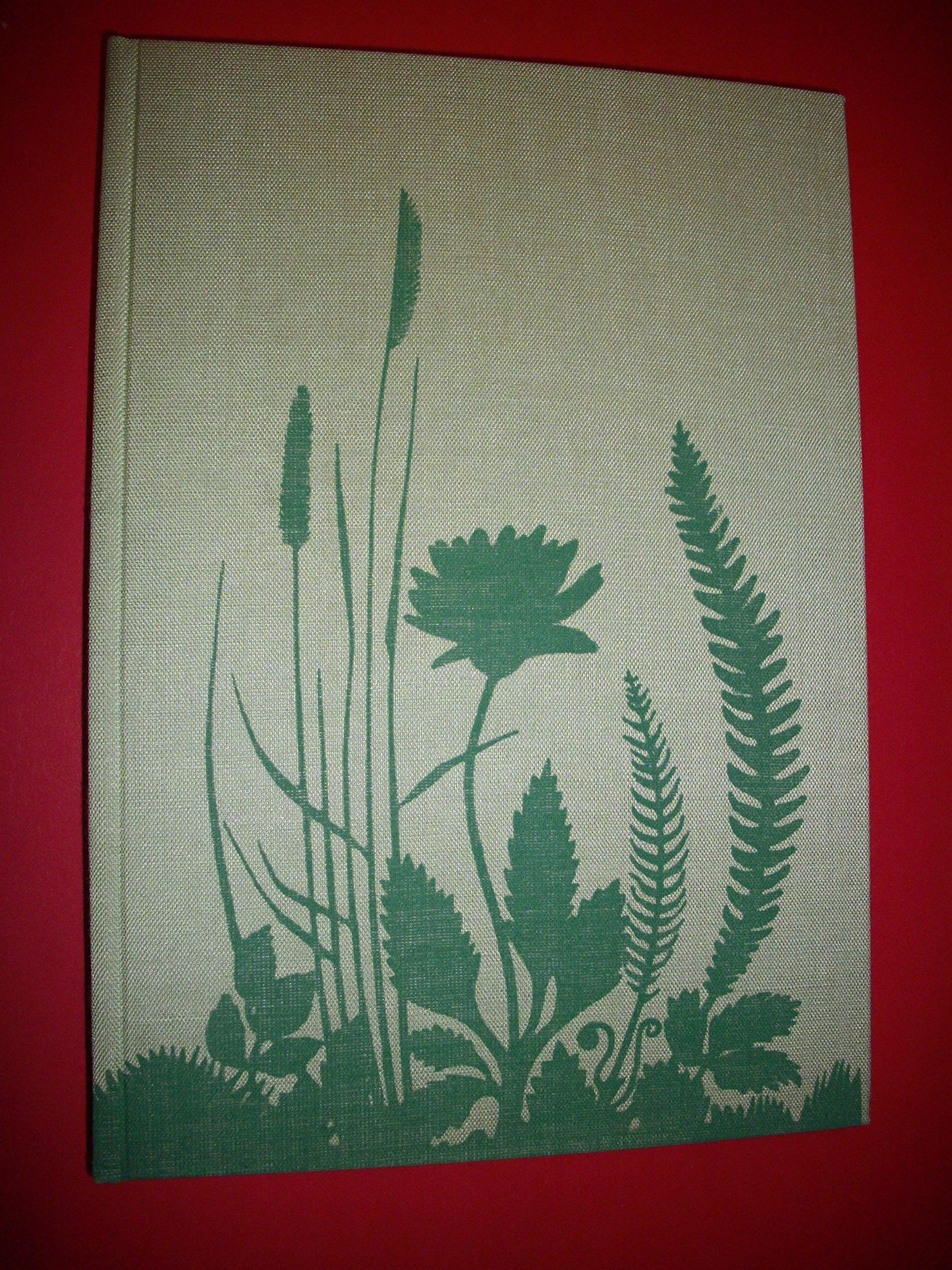 Product Image: Blütenstauden, Gräser, Farne. Eigenschaften, Ansprüche, Verwendung