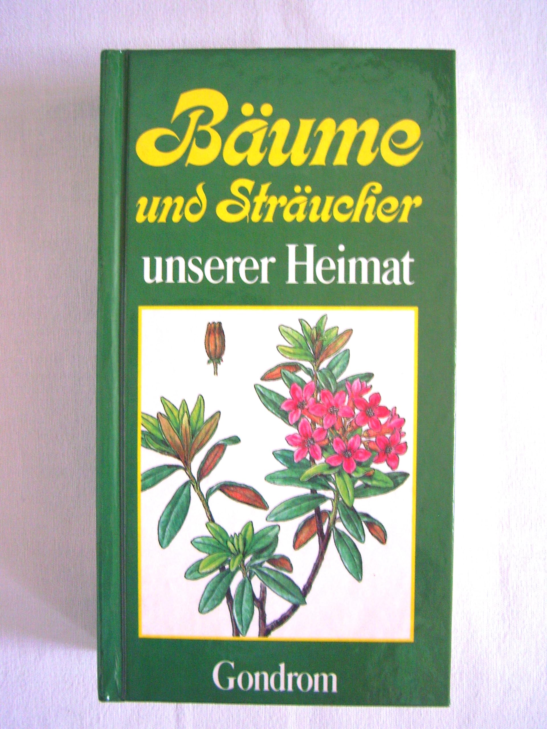 Bäume und Sträucher unserer Heimat Film, Art & Culture