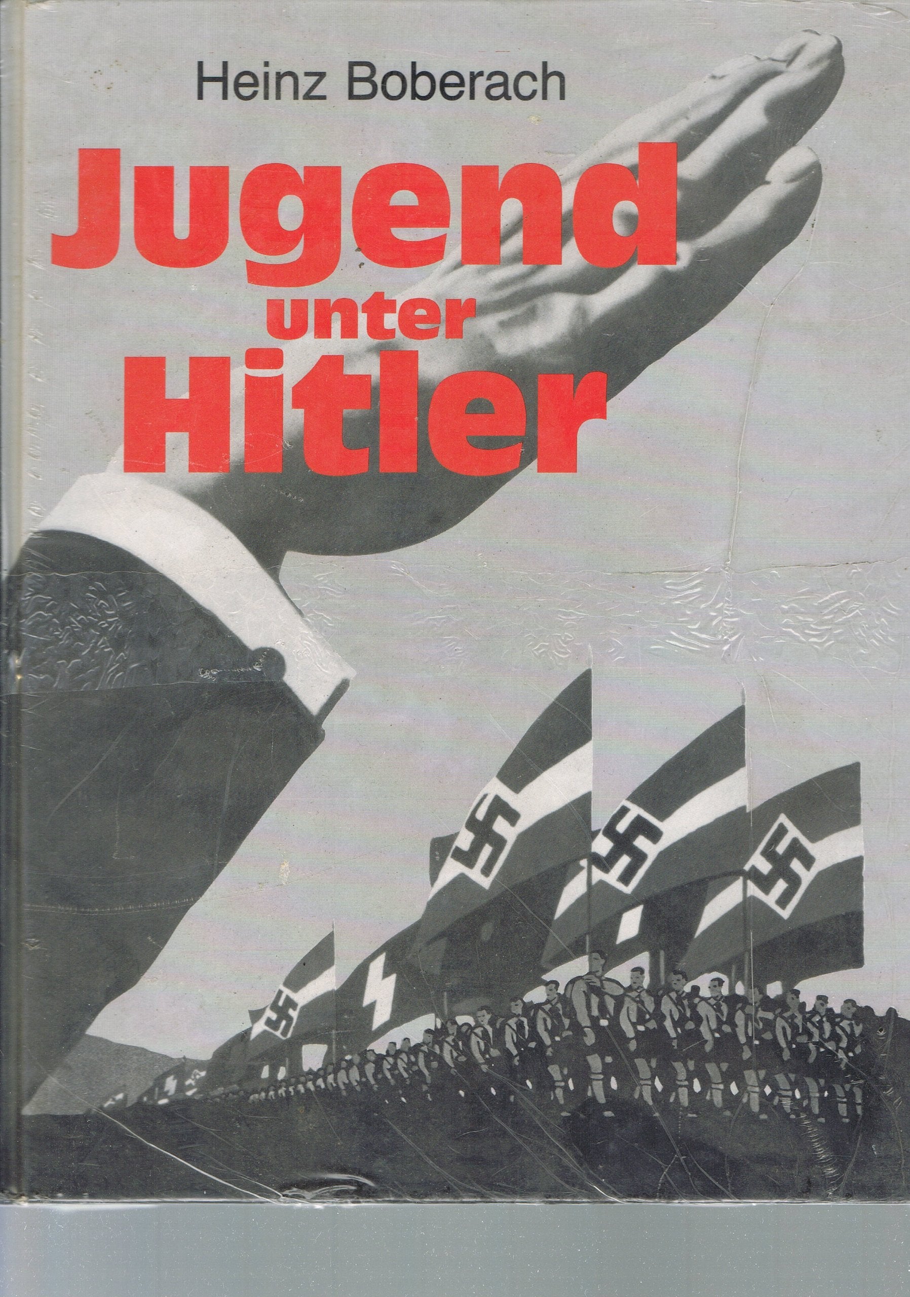 Jugend unter Hitler German history books