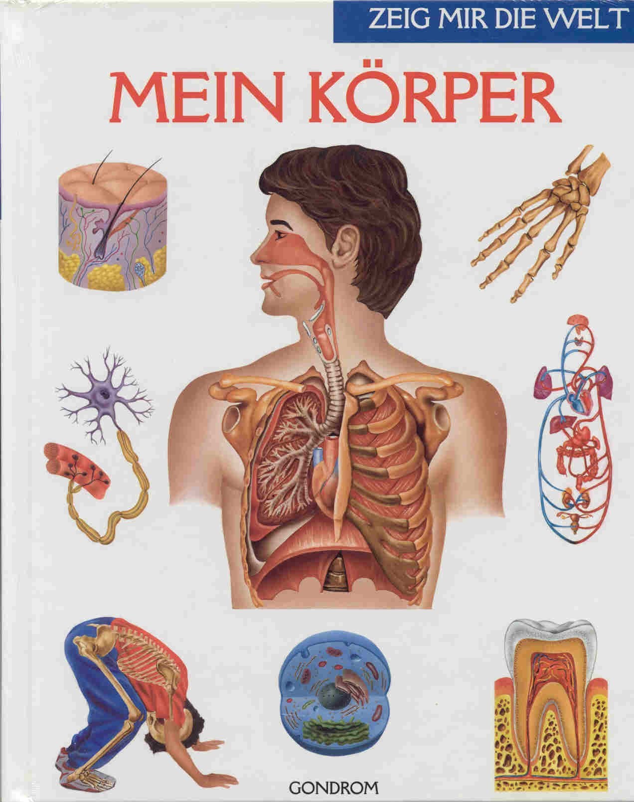 Mein Körper General education