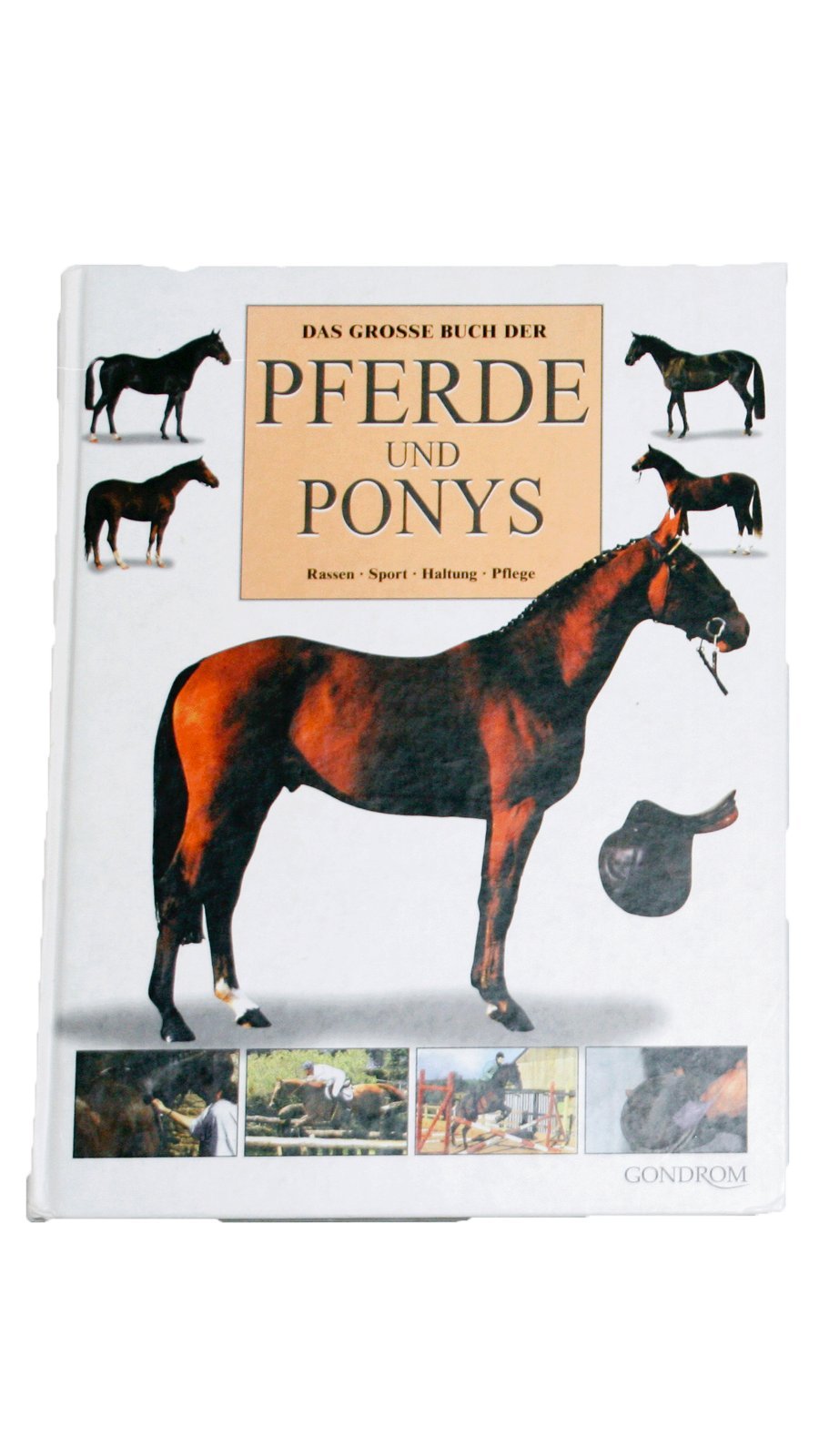 Das grosse Buch der Pferde und Ponys: Rassen, Sport, Haltung, Pflege Learning & Reference