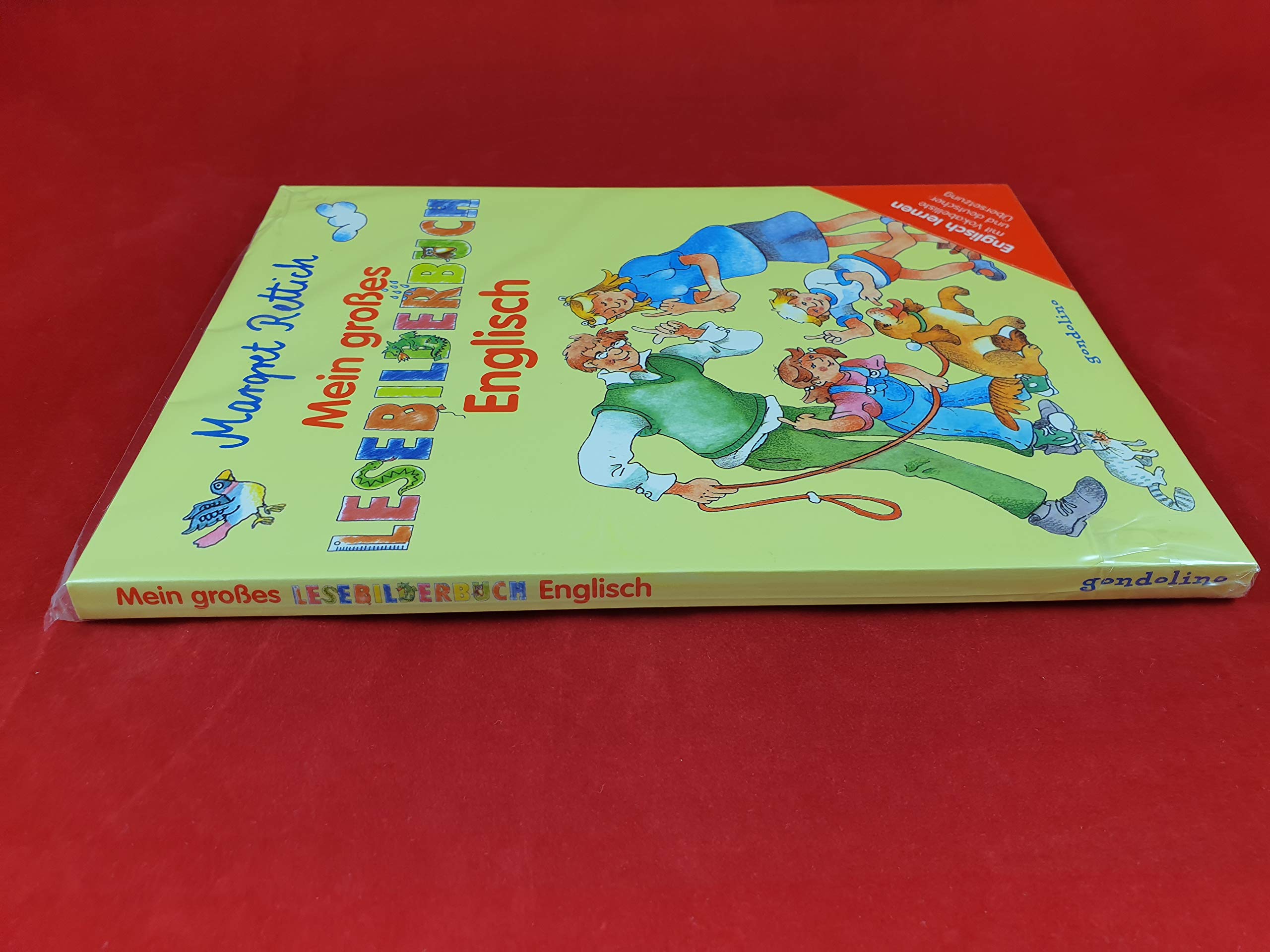 Mein grosses Lesebilderbuch Englisch Non-fiction