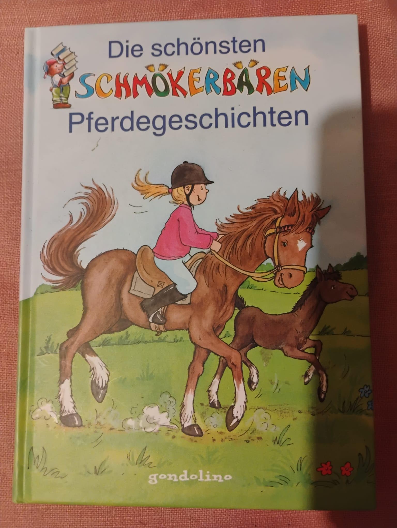 Die schönsten Schmökerbären Pferdegeschichten Novels & Short Stories