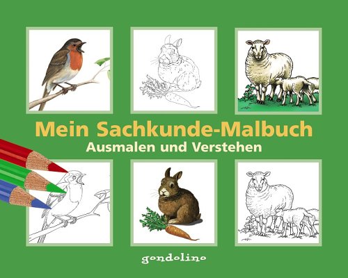 Mein Sachkunde-Malbuch (Grün): Ausmalen und Verstehen Non-fiction