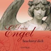 Dein Engel beschützt dich Religion & Esotericism