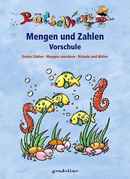 Mengen und Zahlen Vorschule (Rätselhexe) Non-fiction