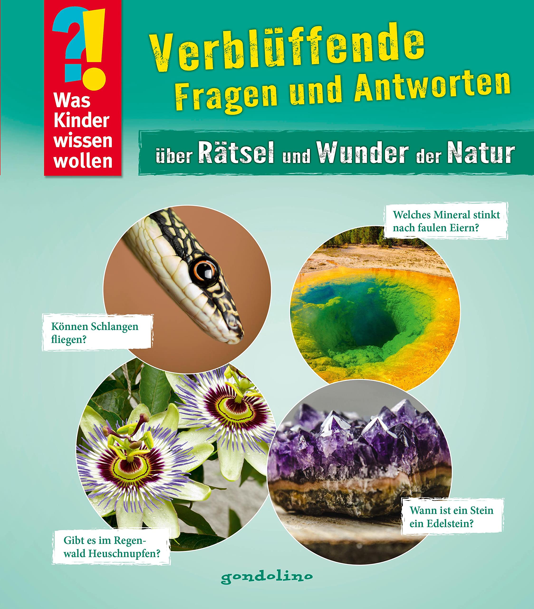 Was Kinder wissen wollen: Verblüffende Fragen und Antworten über Rätsel und Wunder der Natur Garden & Plants