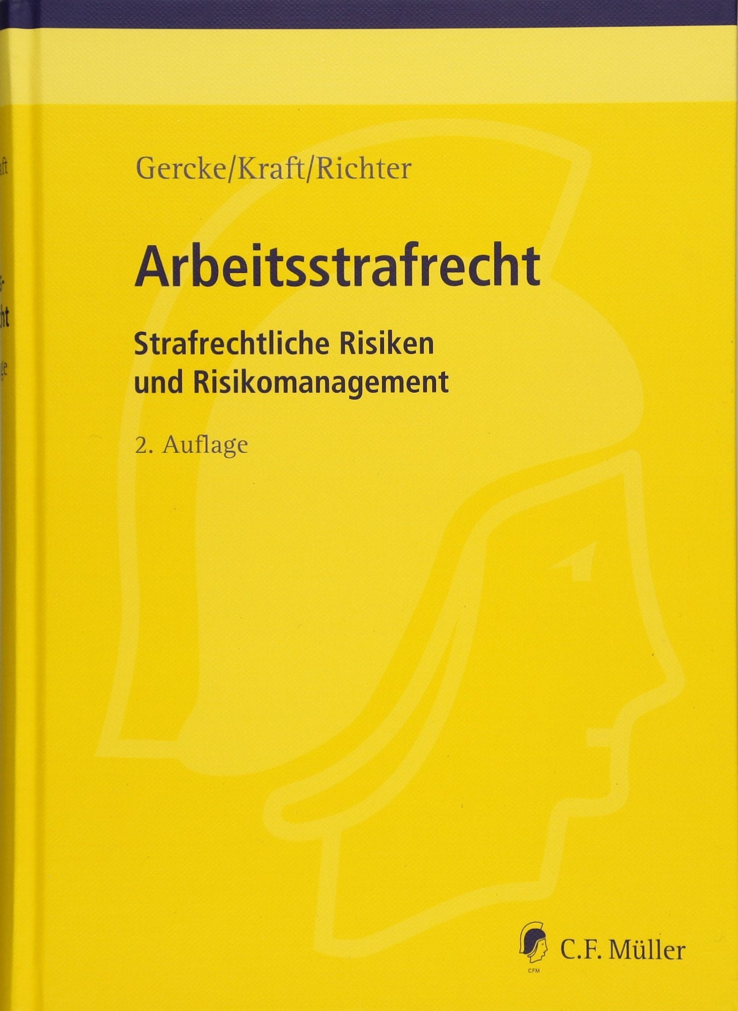 Arbeitsstrafrecht: Strafrechtliche Risiken und Risikomanagement (Recht in der Praxis) Law