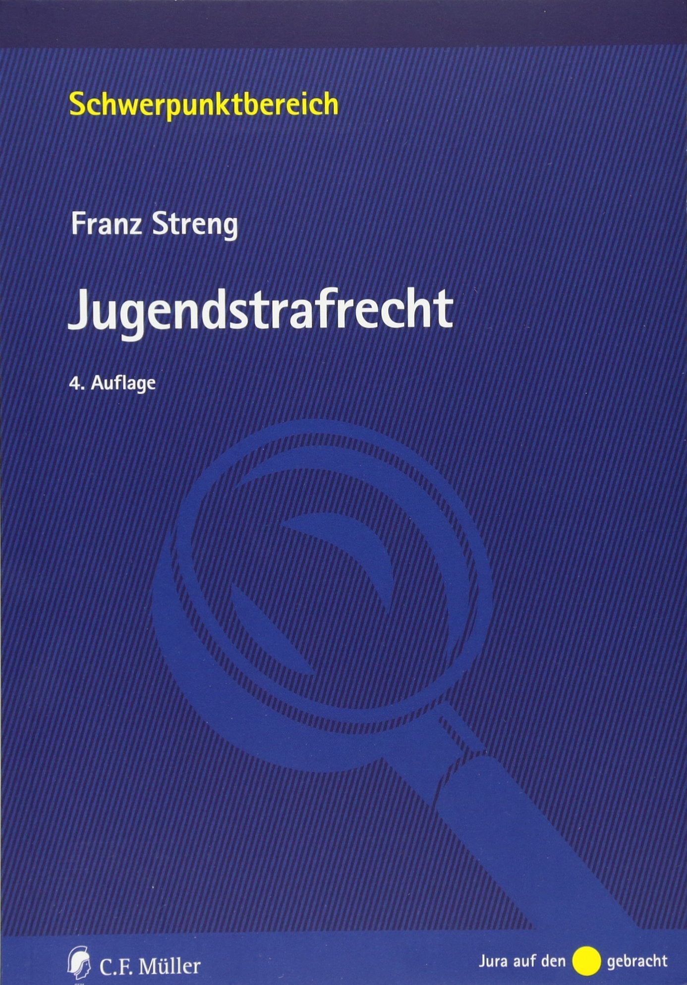Jugendstrafrecht Young adult books
