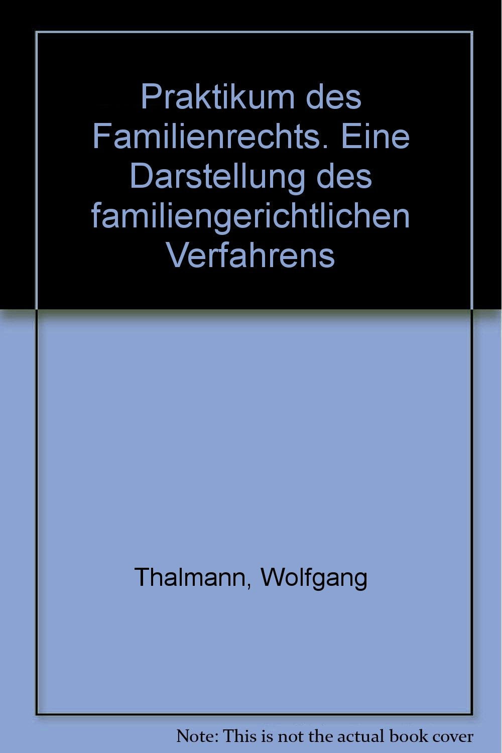 Praktikum des Familienrechts: Eine Darstellung des familiengerichtlichen Verfahrens Law