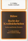 Recht der Kreditsicherheiten: Sachen und Rechte, Personen. Ein Lehrbuch Law