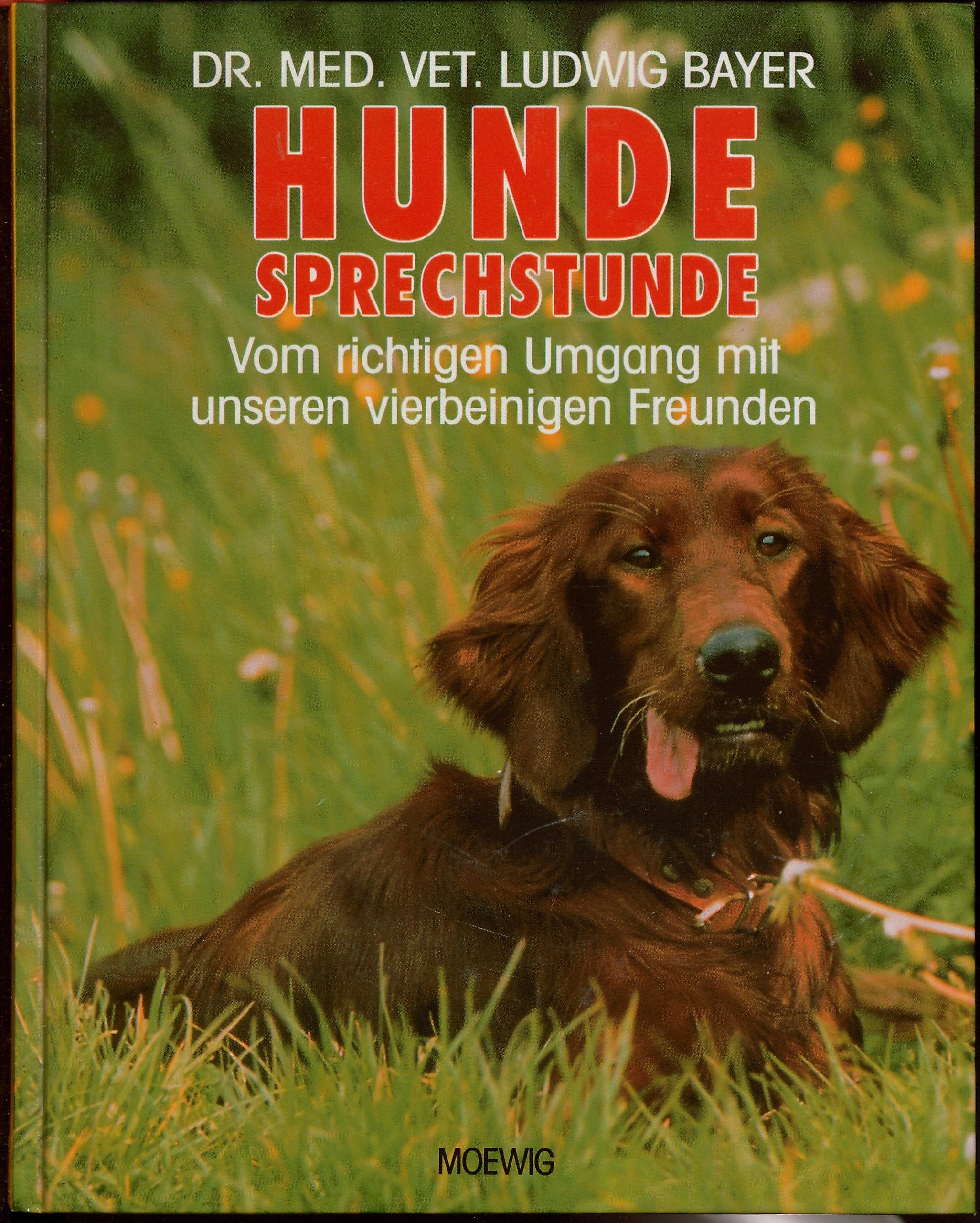 Hundesprechstunde. Vom richtigen Umgang mit unserer vierbeinigen Freunden Pets