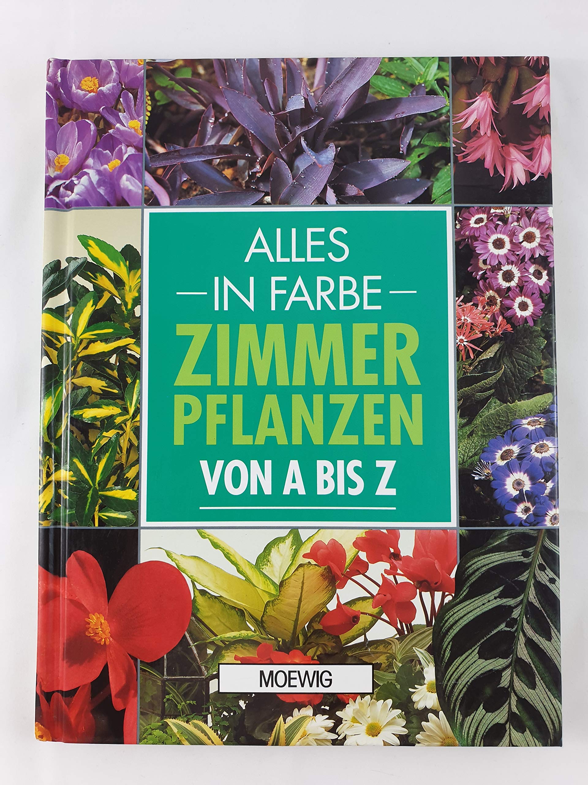 Zimmerpflanzen von A - Z. Alles in Farbe Books
