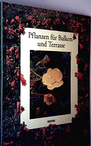 Pflanzen für Balkon und Terrasse Leisure, Home & Garden