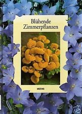 Blühende Zimmerpflanzen Books