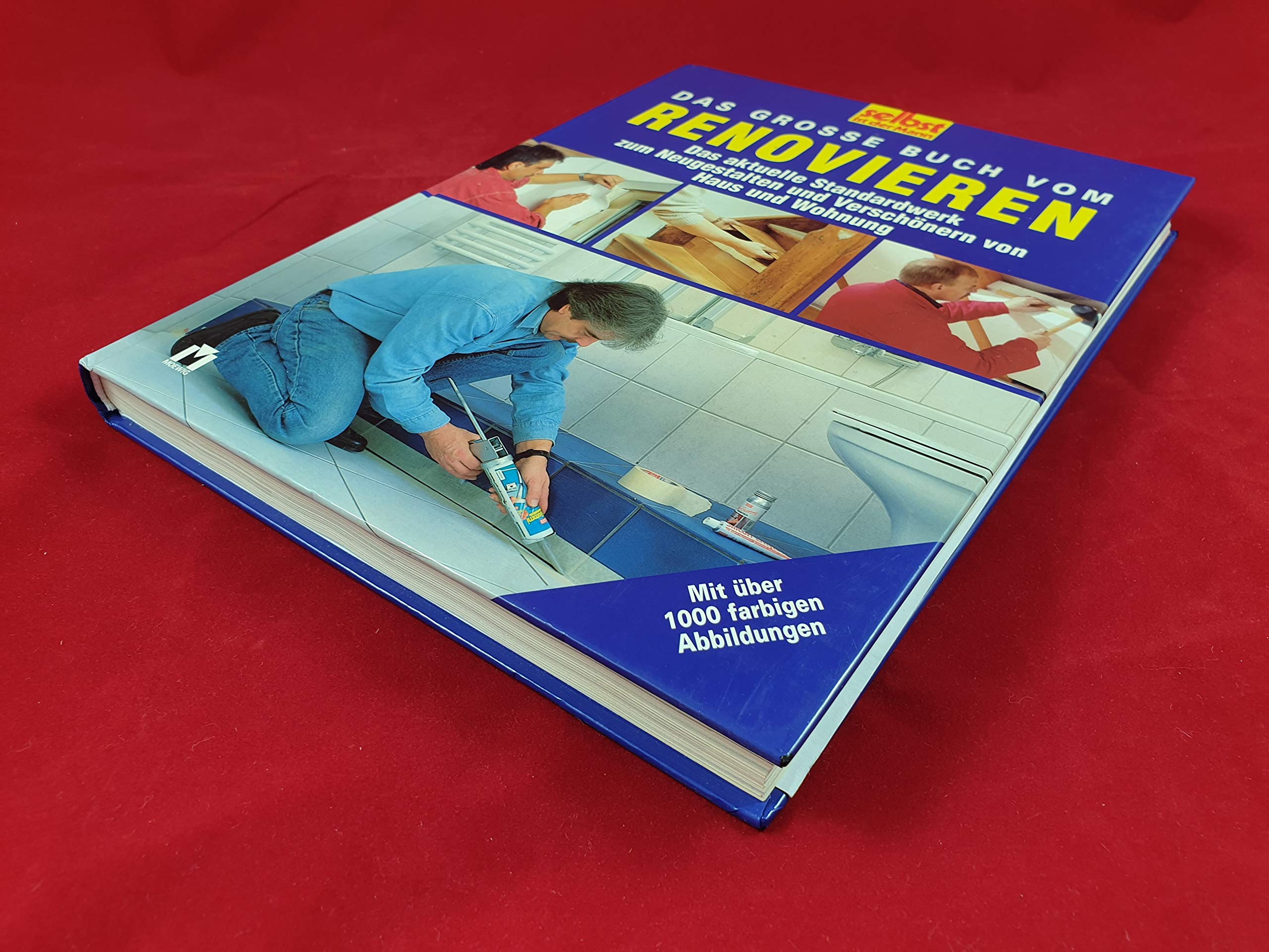 Das große Buch vom Renovieren: Das aktuelle Standardwerk zum Neugestalten und Verschönern von Haus und Wohnung Hobbies & Crafts