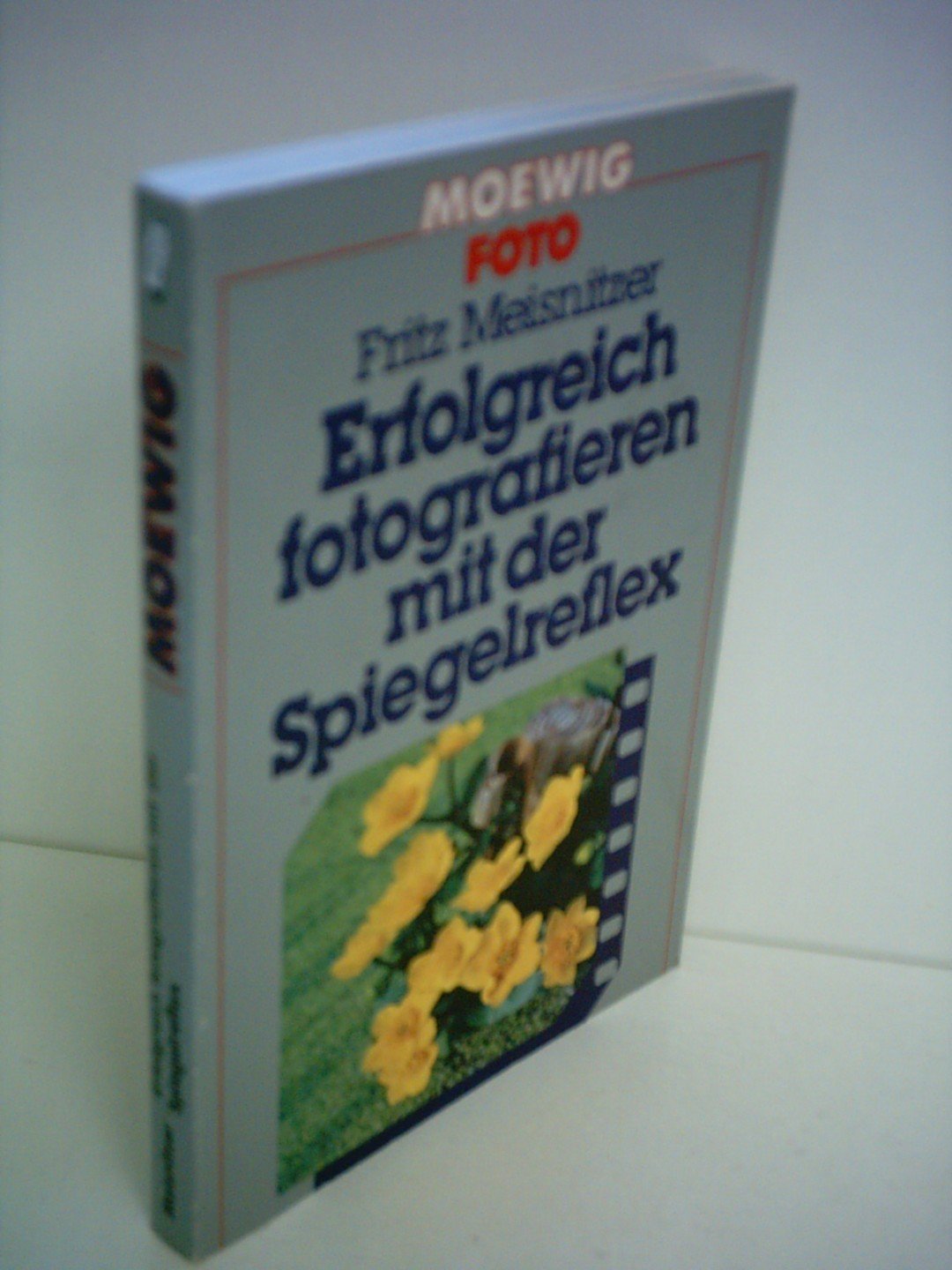 Fritz Meisnitzer: Erfolgreich fotografieren mit der Spiegelreflex Books
