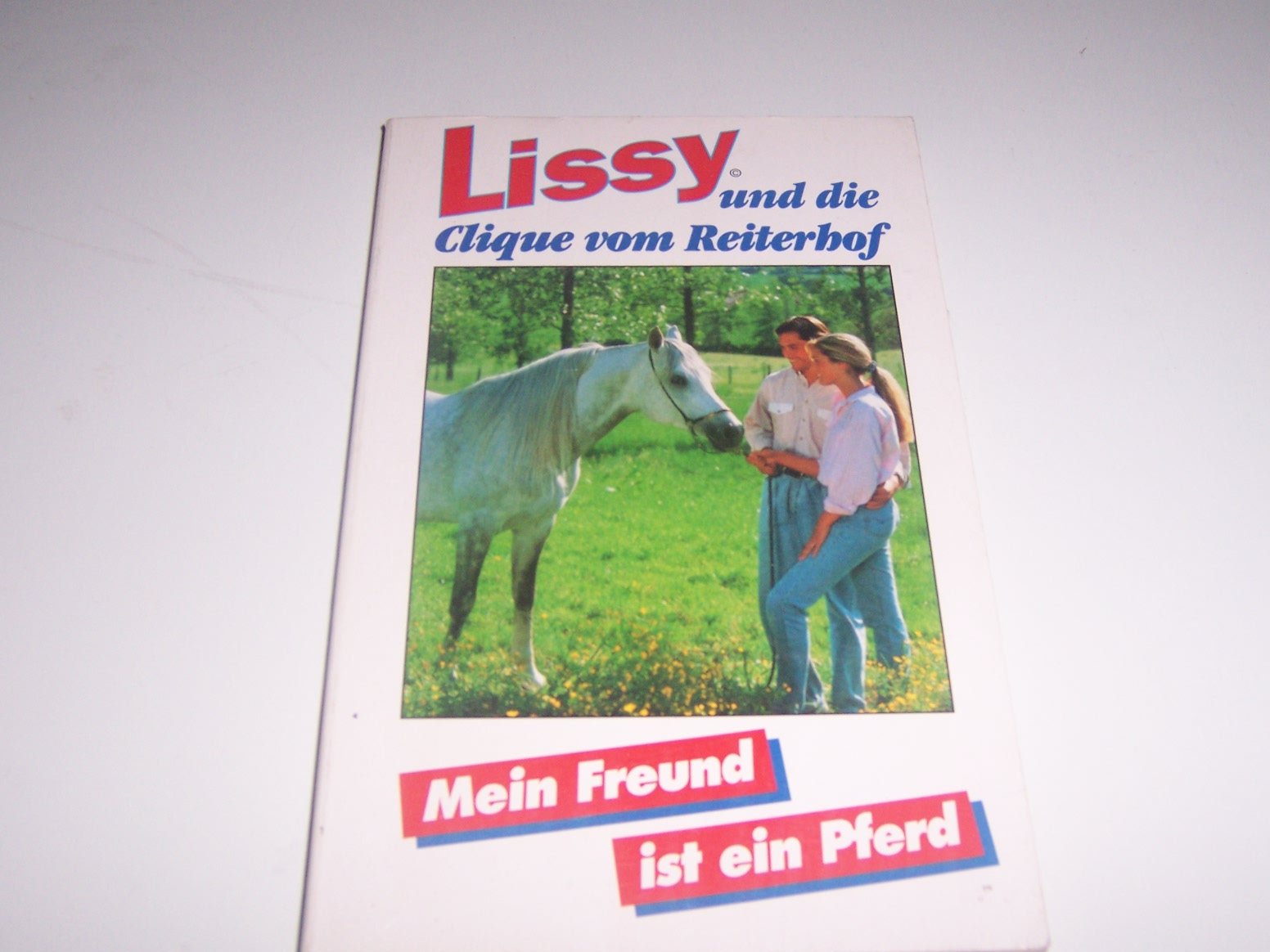 Mein Freund ist ein Pferd (Lissy und die Clique vom Reiterhof) Books
