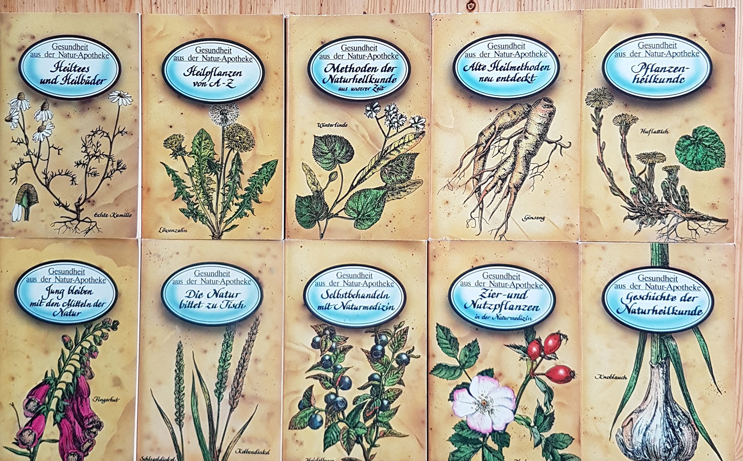 Maximilian Alexander: Gesundheit aus der Natur-Apotheke: Geschichte der Naturheilkunde Books