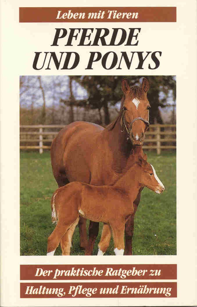 Pferde und Ponys. Der praktische Ratgeber zu Haltung, Pflege und Ernährung (Leben mit Tieren) Books