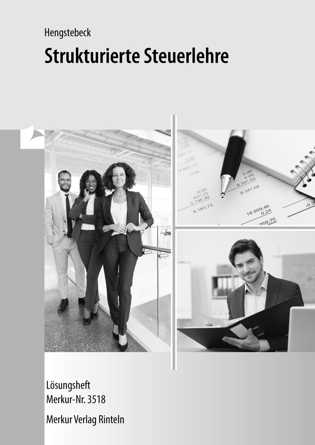 Strukturierte Steuerlehre: - Lösungen Business, Finance & Career