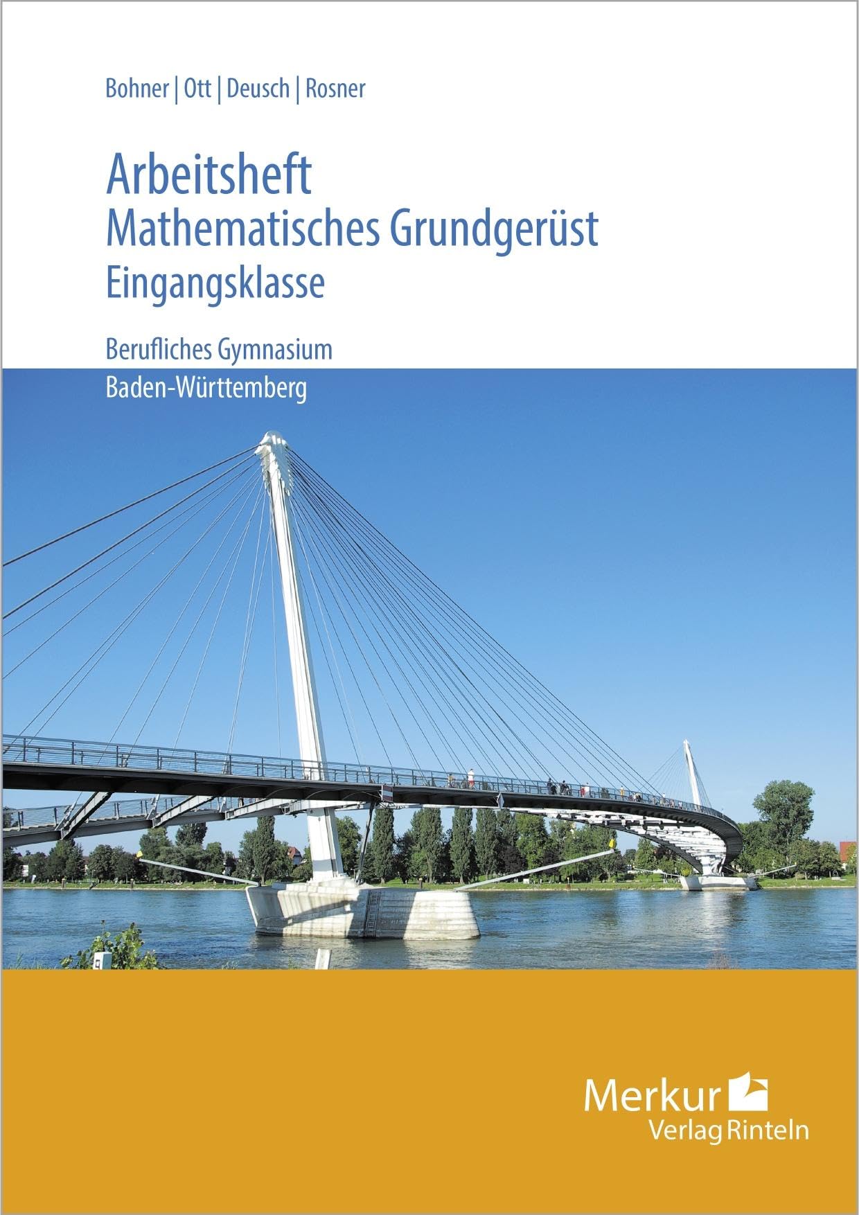 Mathematisches Grundgerüst. Arbeitsheft Business, Finance & Career Books