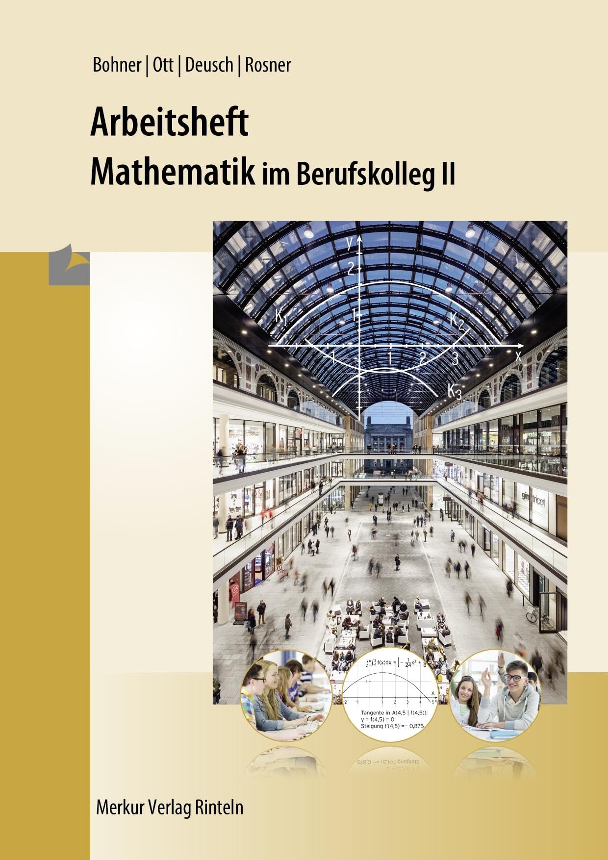 Mathematik im BK II. Arbeitsheft Business, Finance & Career Books