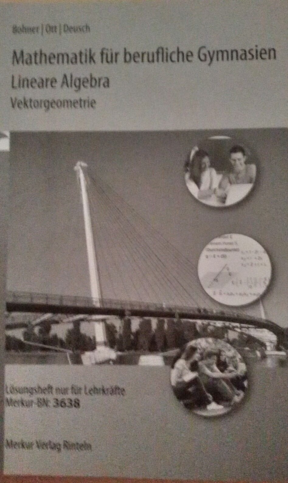 Lösungsheft Mathematik für berufliche Gymnasien Lineare Algebra, Vektorengeometrie Books