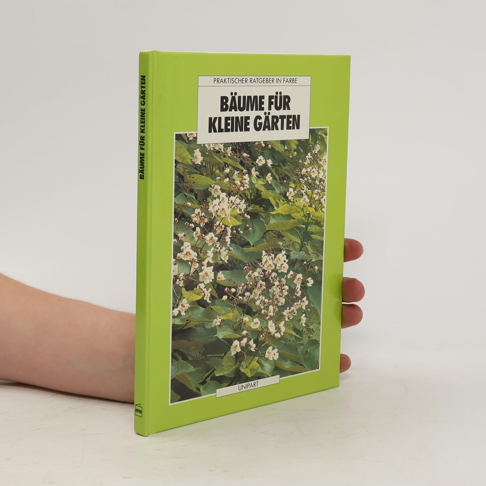 Bäume für kleine Gärten Garden & Plants