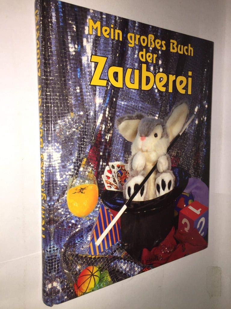 Mein großes Buch der Zauberei Leisure & Fun