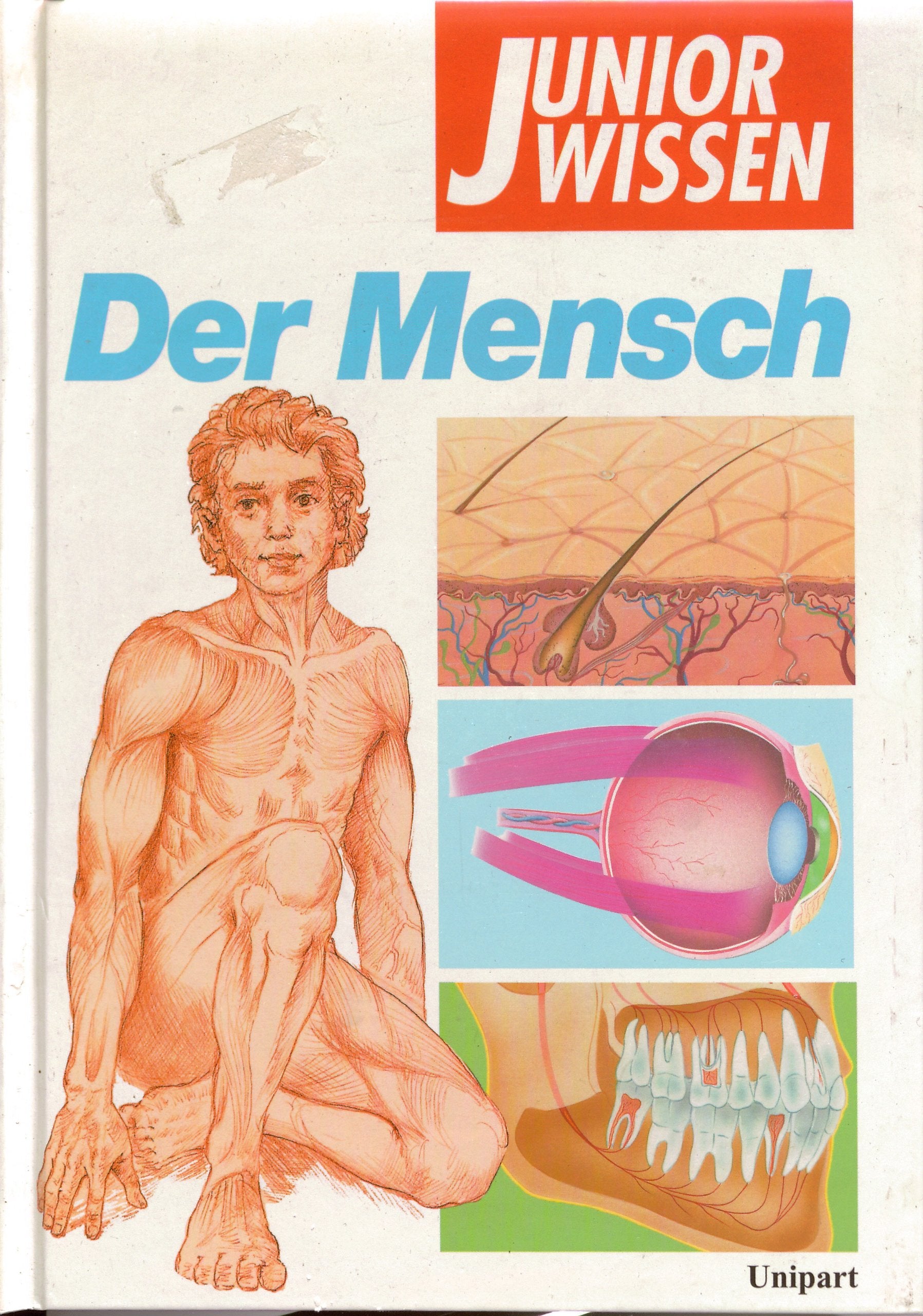 Junior Wissen, Der Mensch General education