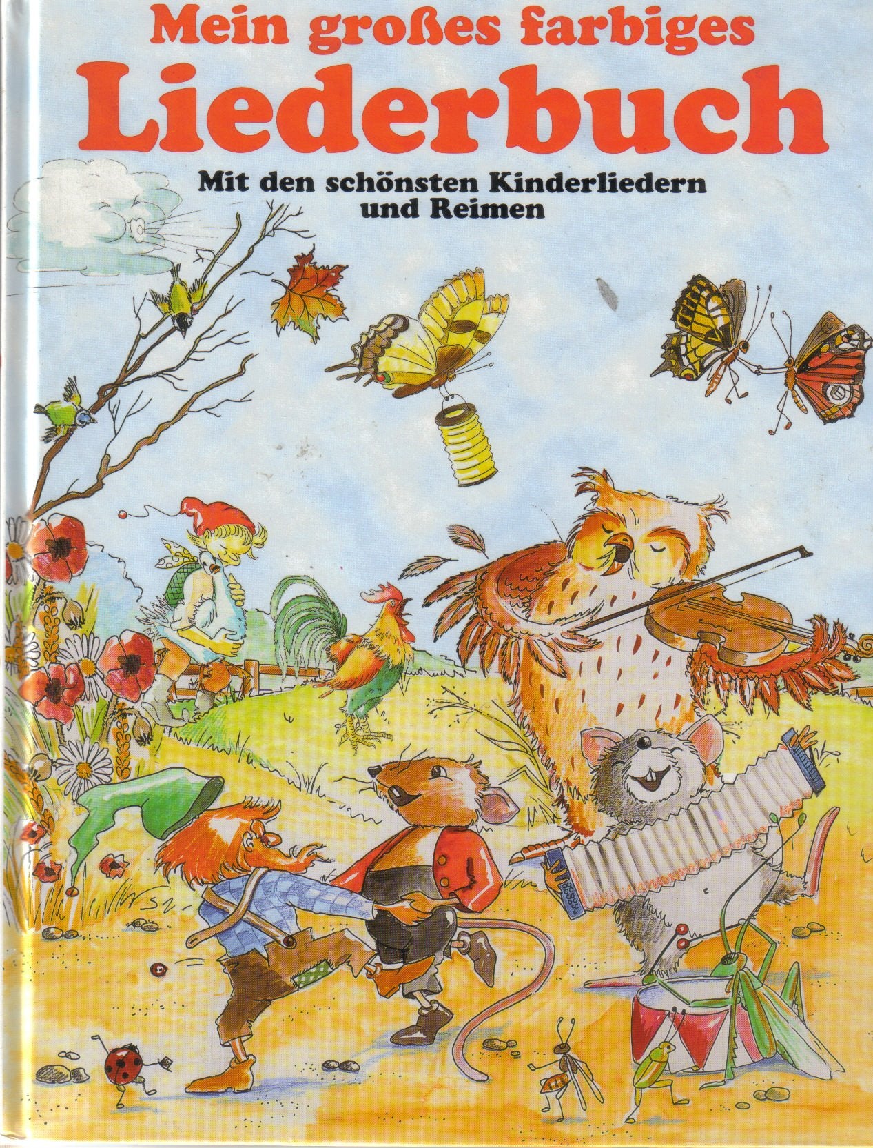 Mein großes farbiges Liederbuch (mit den schönsten Kinderliedern und Reimen) Books