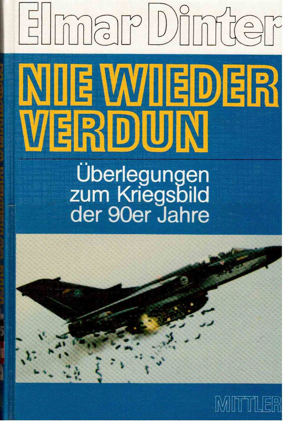 Nie wieder Verdun: Überlegungen zum Kriegsbild der neunziger Jahre Politics & History