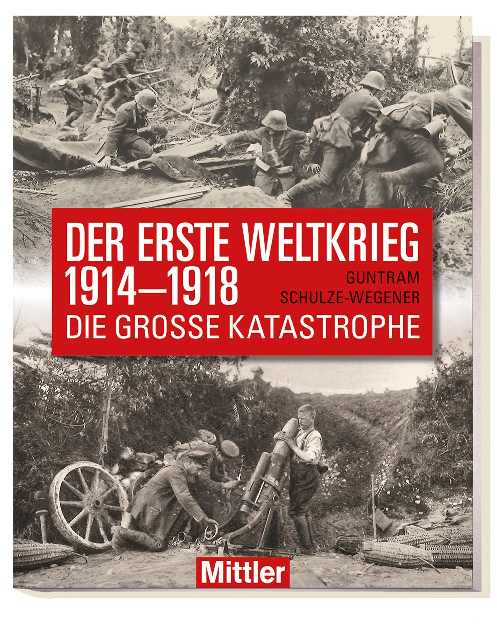 Der Erste Weltkrieg 1914-1918: Die große Katastrophe Politics & History