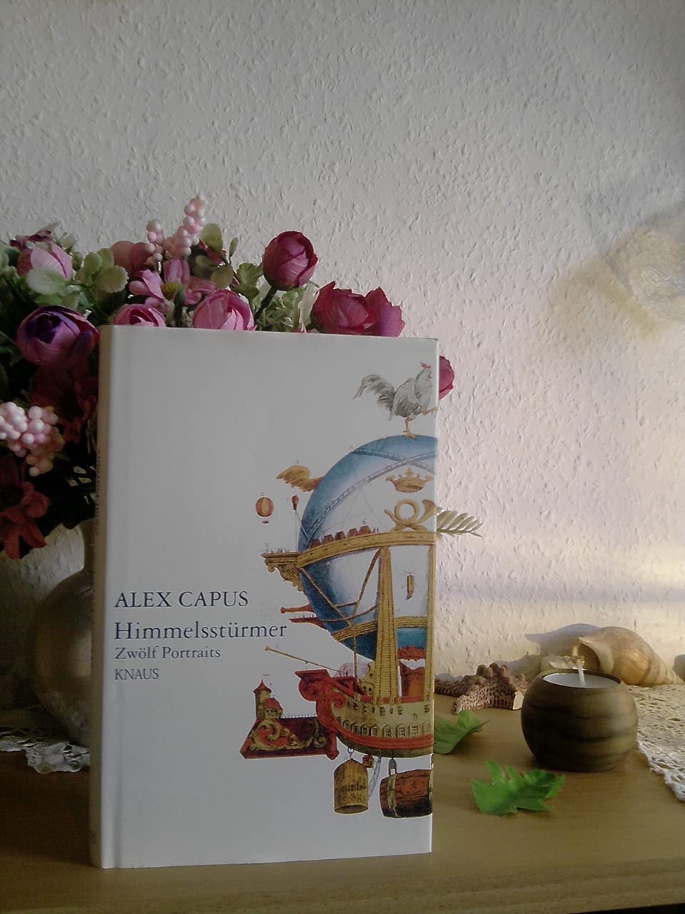Himmelsstürmer: Zwölf Portraits Contemporary literature