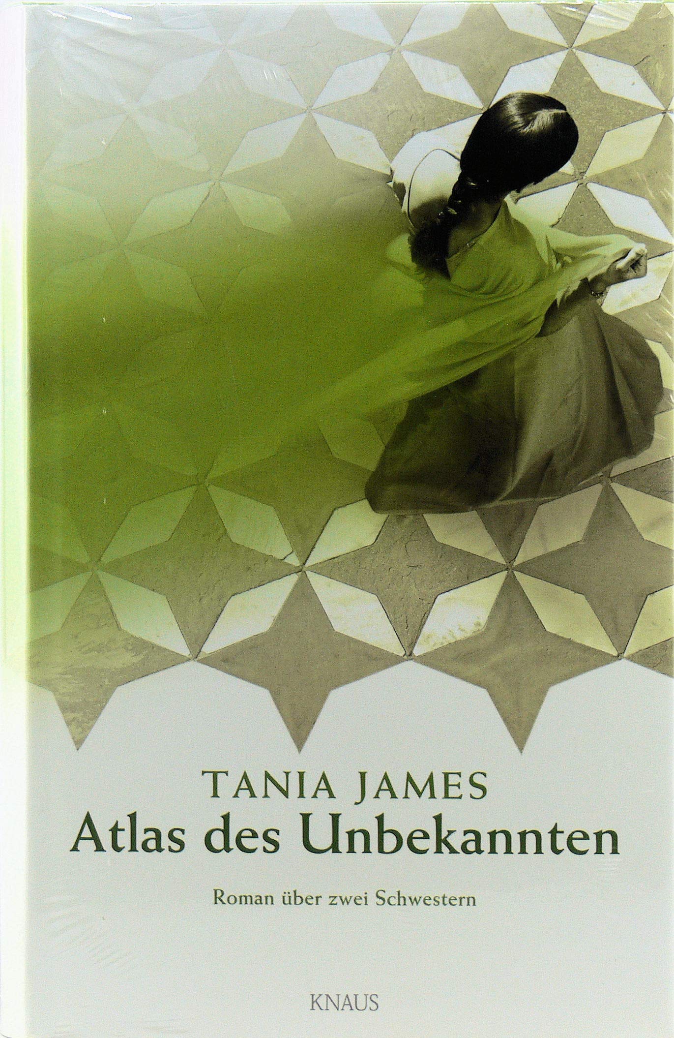 Atlas des Unbekannten: Roman über zwei Schwestern Contemporary literature