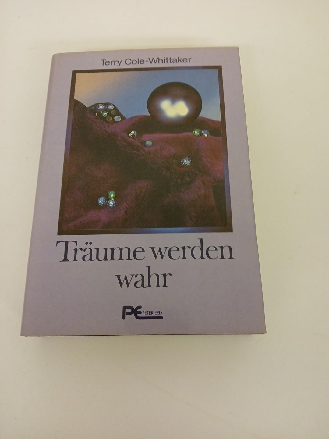Träume werden wahr Lifestyle Books