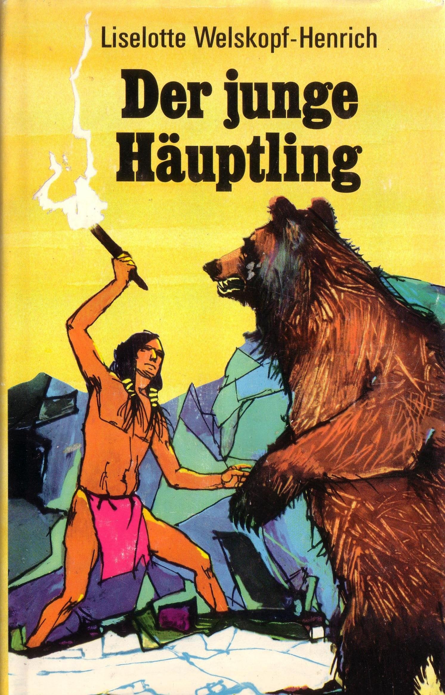 Der junge Häuptling., Bd 5 Books