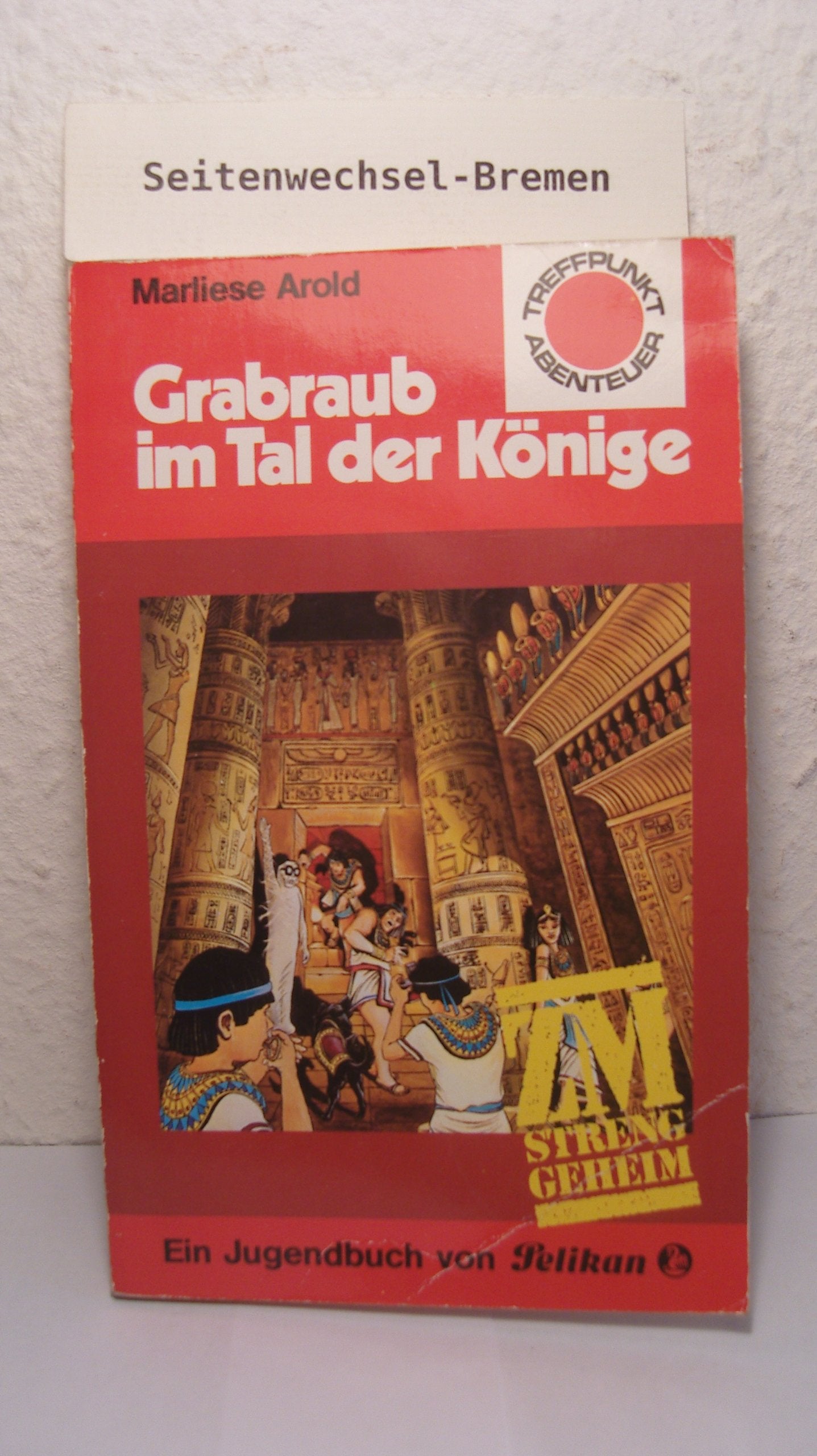 ZM, streng geheim. Grabraub im Tal der Könige. ( Treffpunkt Abenteuer). Books