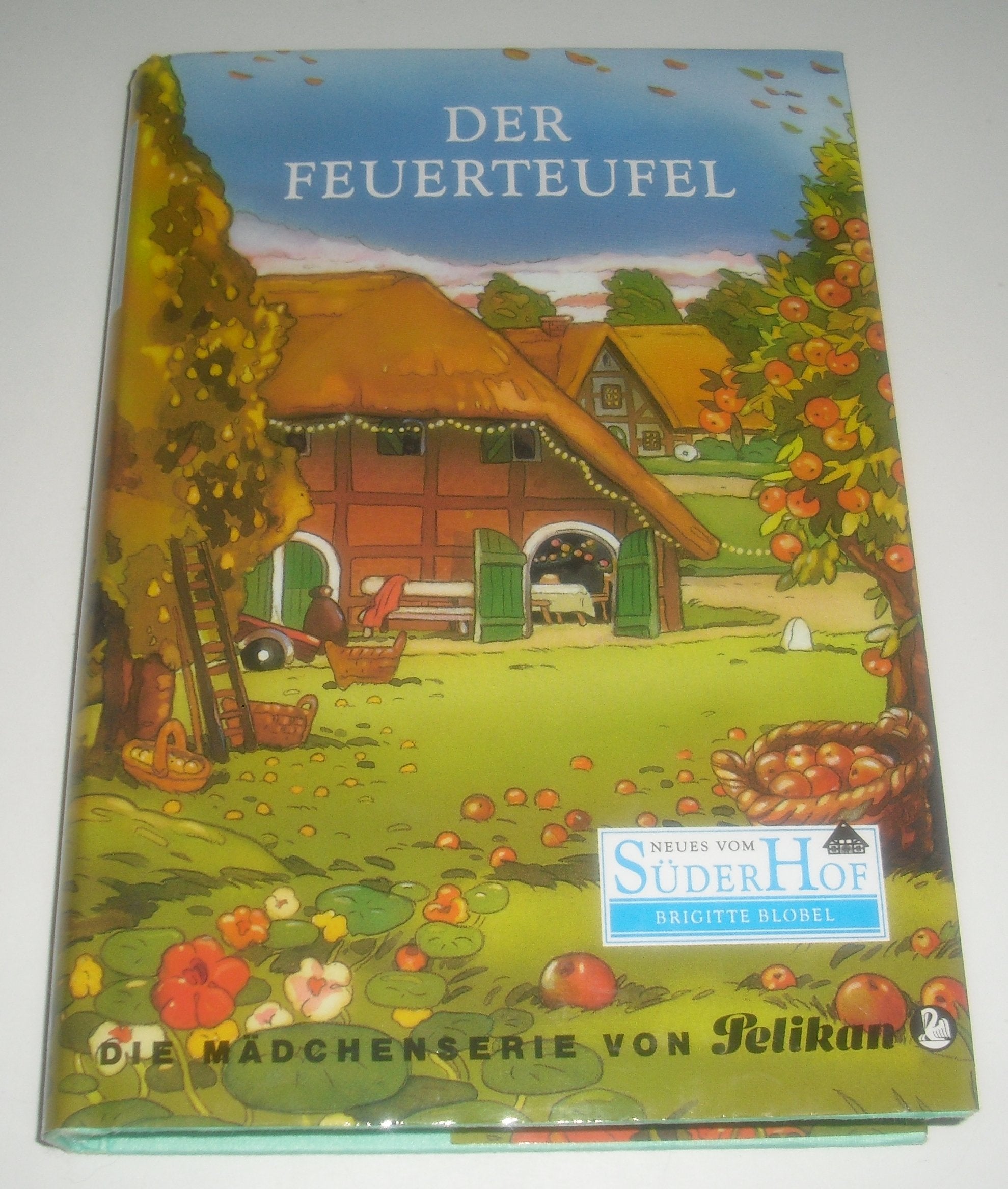 Neues vom Süderhof, Bd.7, Der Feuerteufel Novels & Short Stories